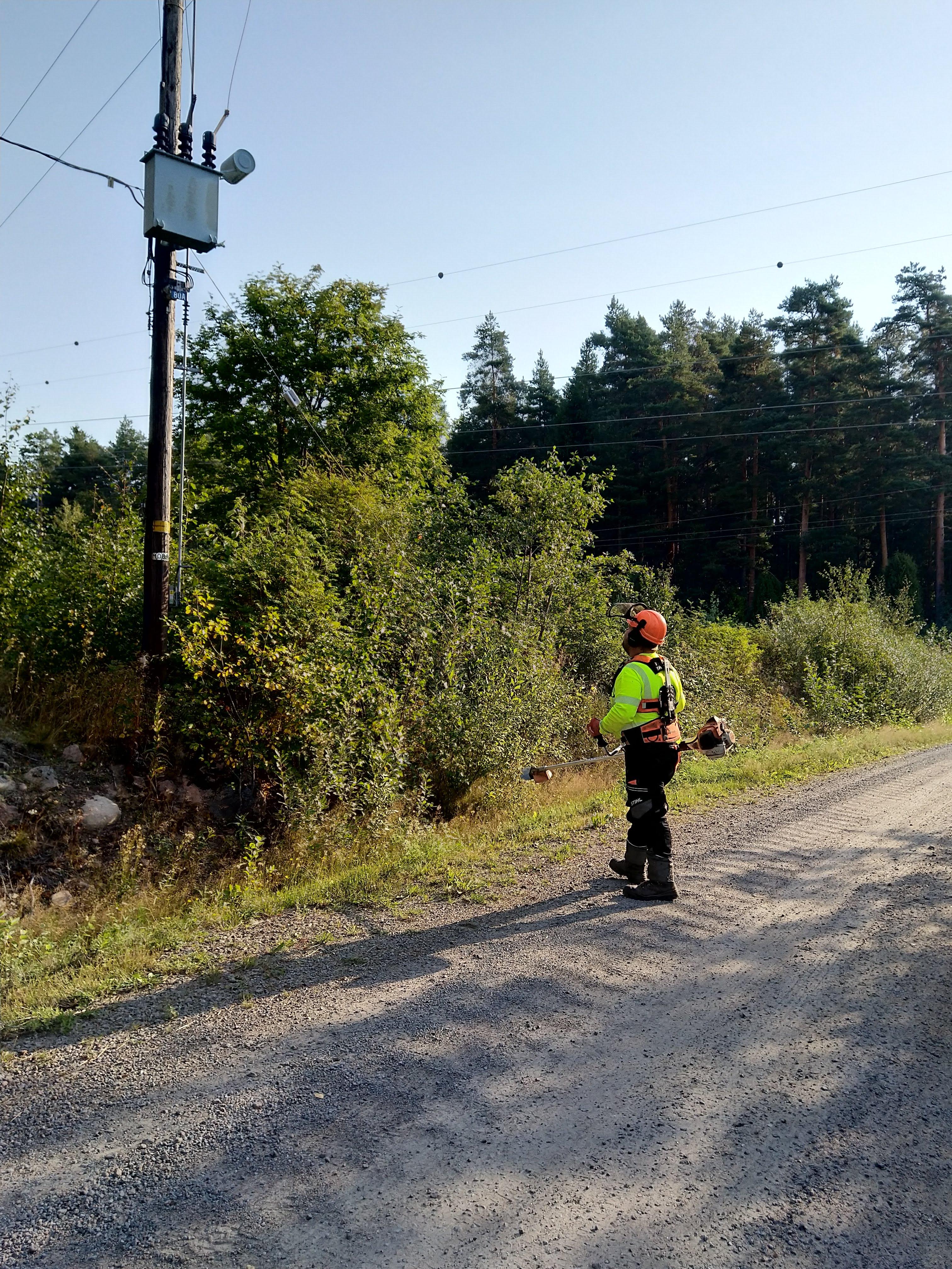 Henkilö suojavarusteissa katsoo vesakosta täyttynyttä sähkölinjaa, joka täytyy raivata. Sähköpylväässä näkyy pylväsmuuntamo.